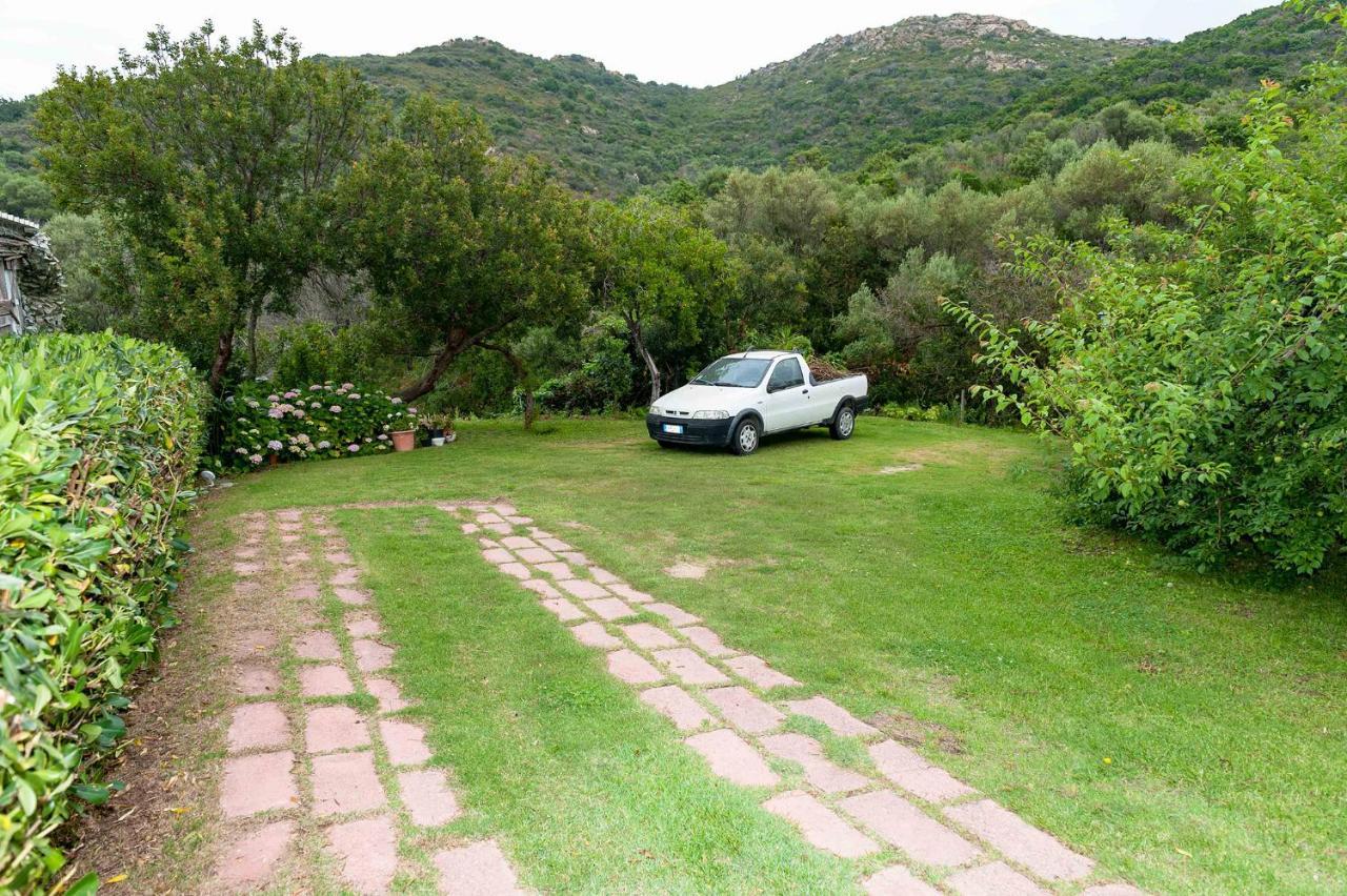 B&B Lu Lioni San Teodoro  Extérieur photo